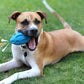 Puppy Chew Ball With Squeaker Dog Chew Toys Squeaky Dog Toys For Aggressive Chewers