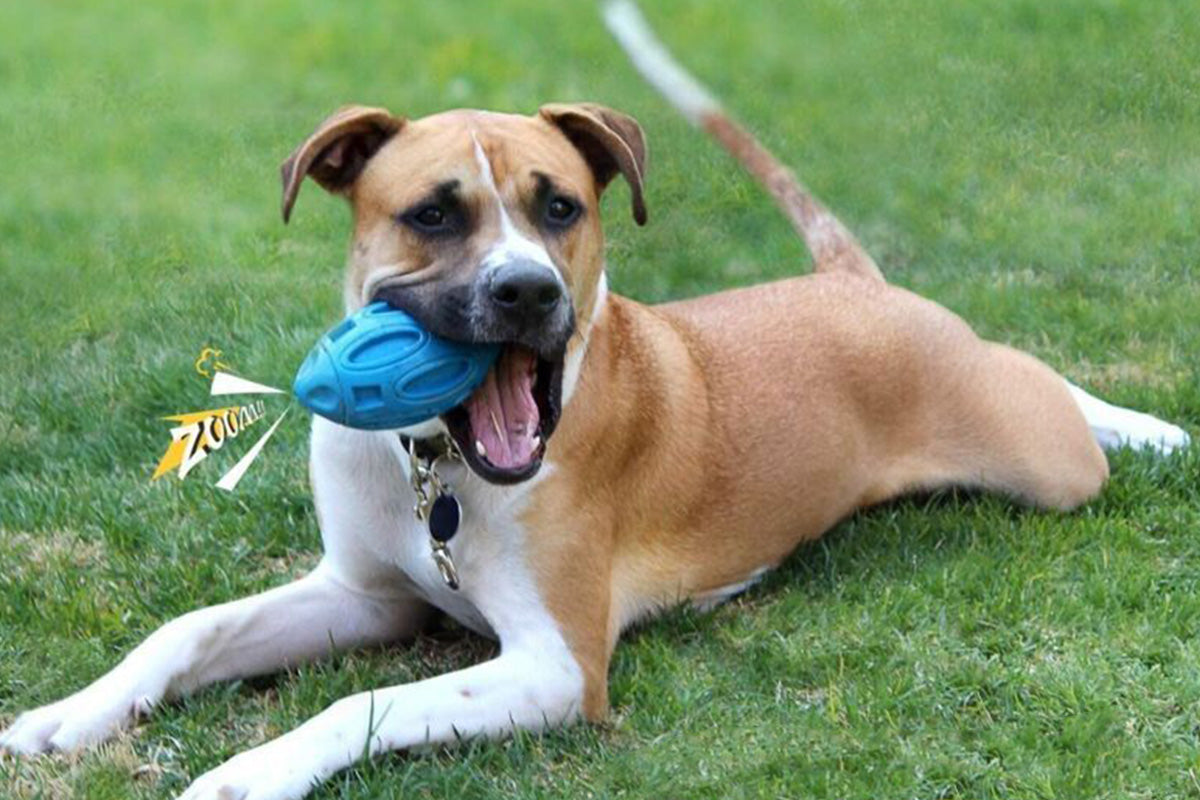 Puppy Chew Ball With Squeaker Dog Chew Toys Squeaky Dog Toys For Aggressive Chewers