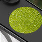50X-300X Handheld Microscope with LED Lights Portable Pocket Zoom