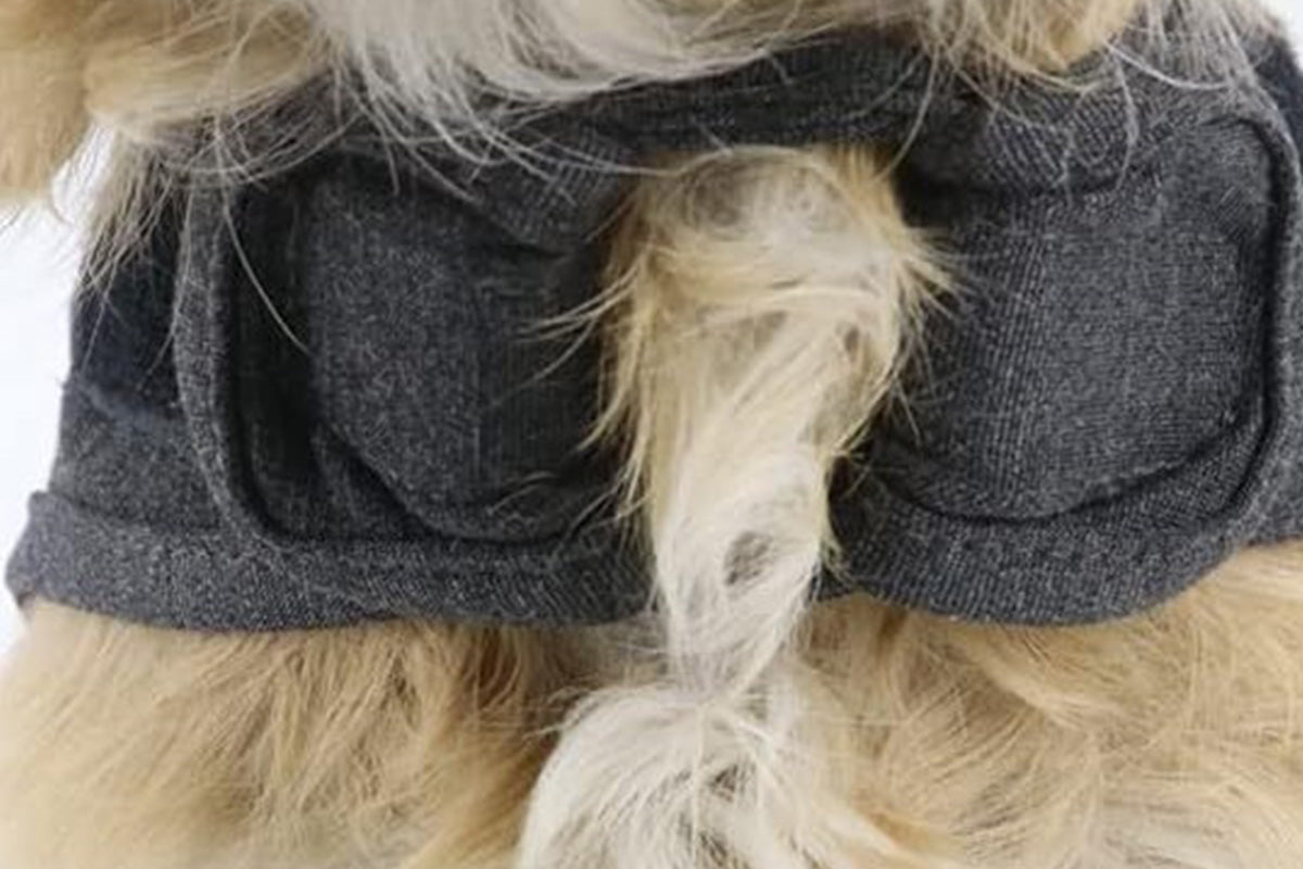 Pet Anxiety Relief Vest Dog Adjustable Calming Wrap for Thunderstorms Travel