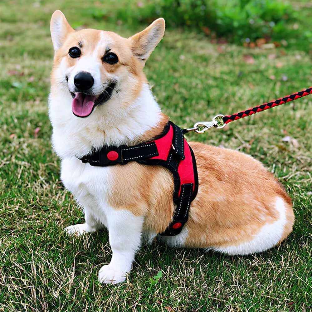 No-Pull Pet Dog Harness with Handle Adjustable Padded Vest