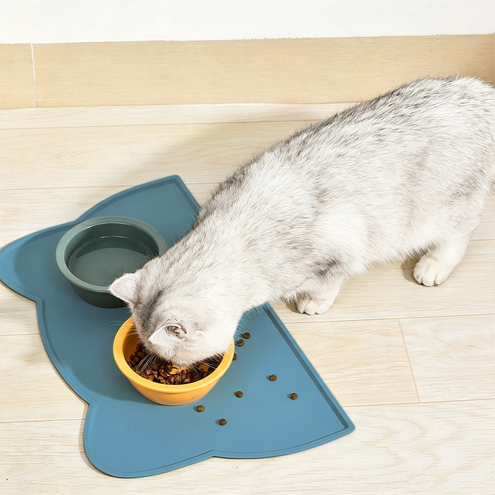 Thick Silicone Non Slip Pet Feeding Mat with Raised Spill Edge