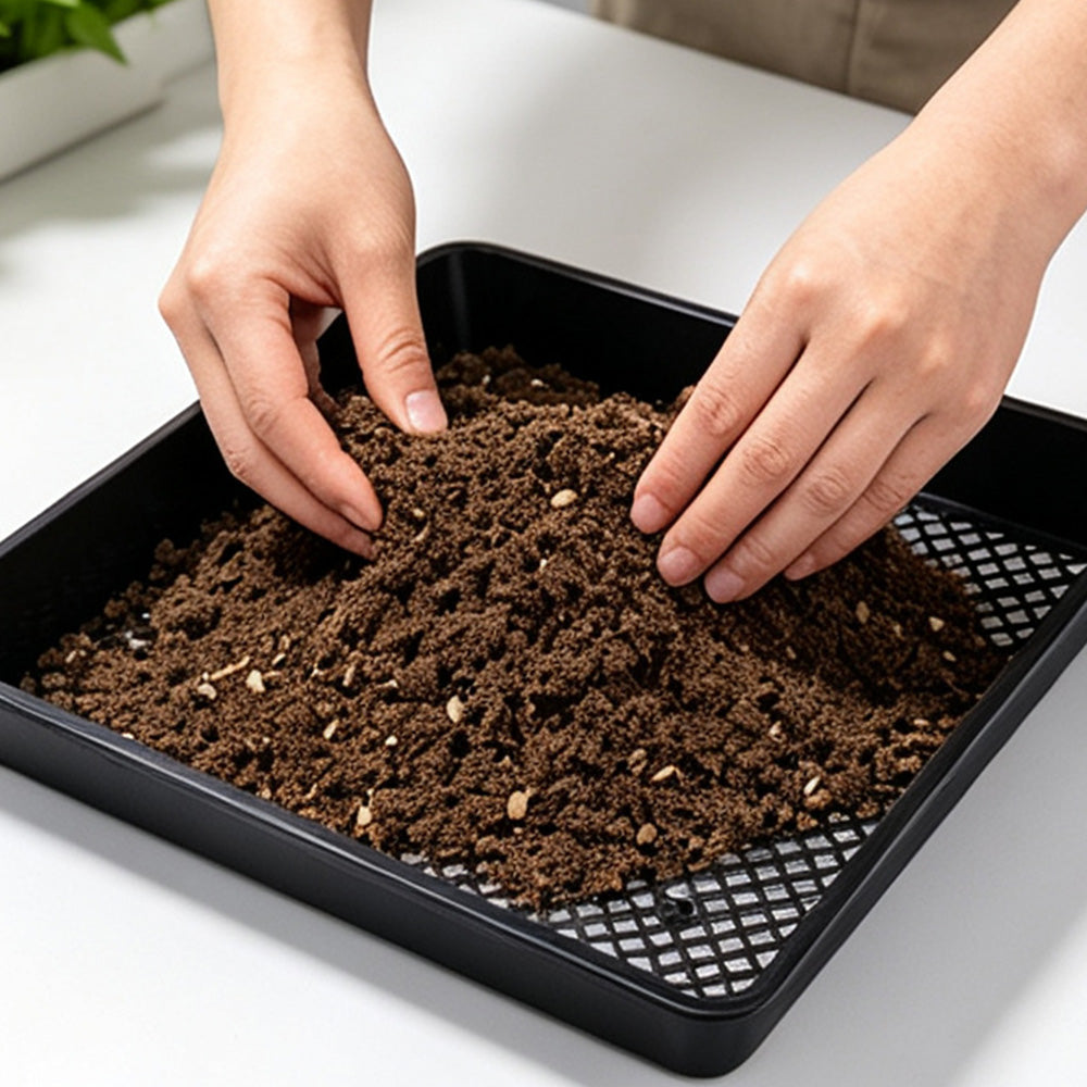 10 Pack Seedling Tray Fine Holes Plant Propagation Seedling Hydroponic Square
