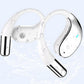 115 Languages Real-Time AI Translator Earbuds