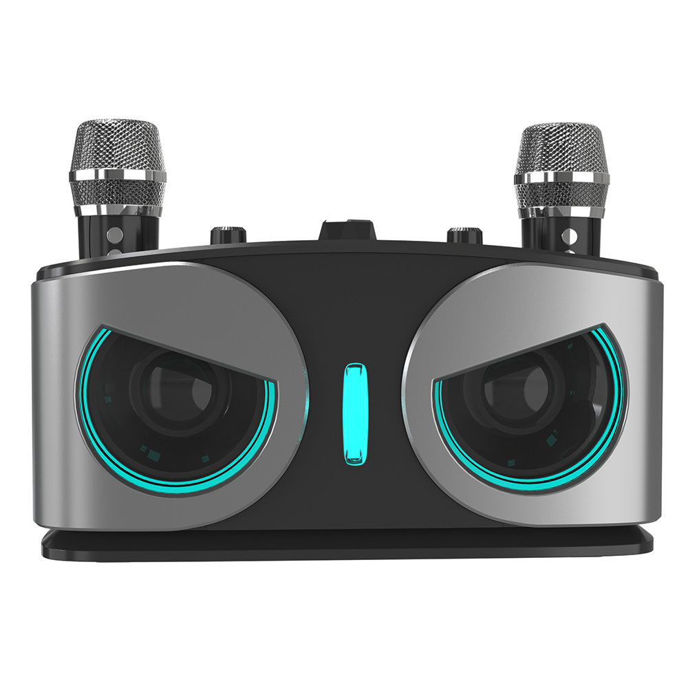 Bluetooth 5.3 Karaoke Machine With 2 Wireless Microphones Bluetooth Karaoke Speaker