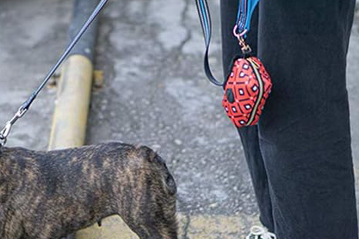 Pet Pouch Dog Poop Bag Holder Poo Waste Bags Container For Leash