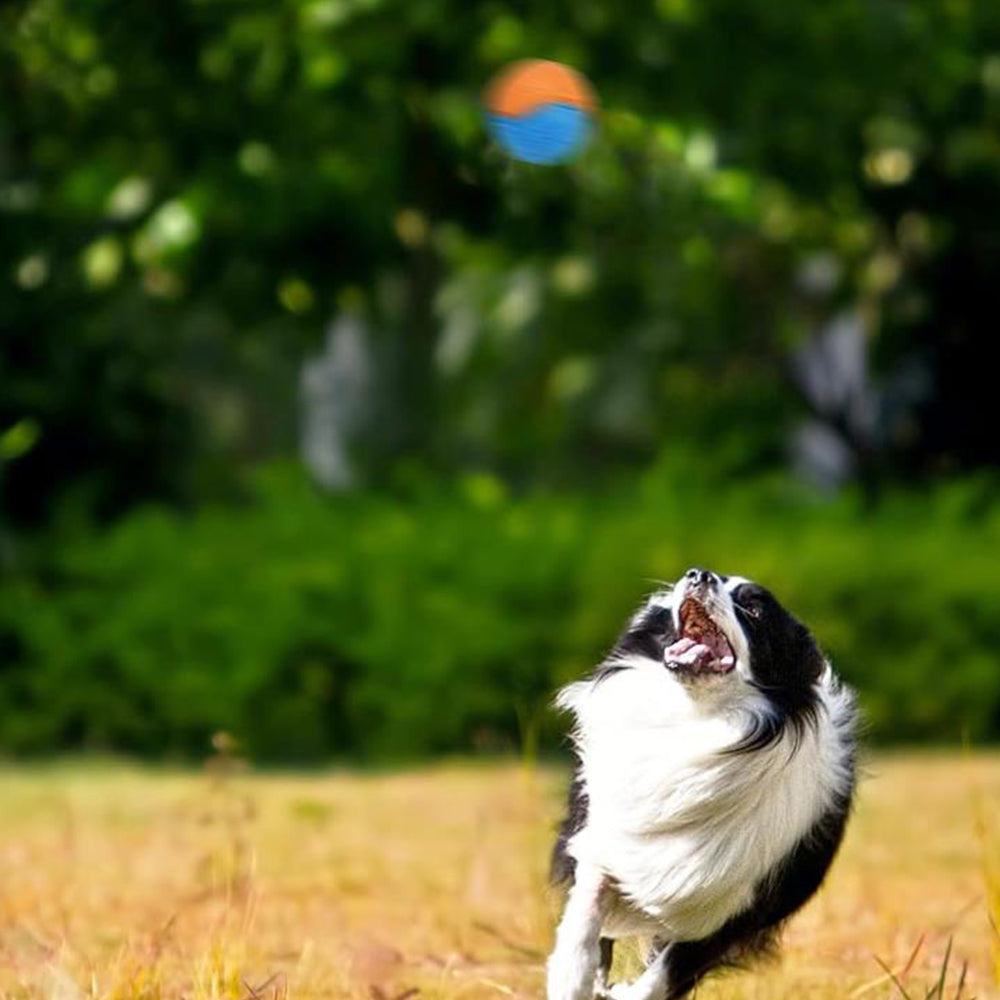 4Pcs 6.5CM Pet Interactive Playing Toy High Bouncy Vibrant Color Squeaky Rubber Balls
