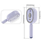Electric Steam Hair Brush Mist Spray Cushion Comb