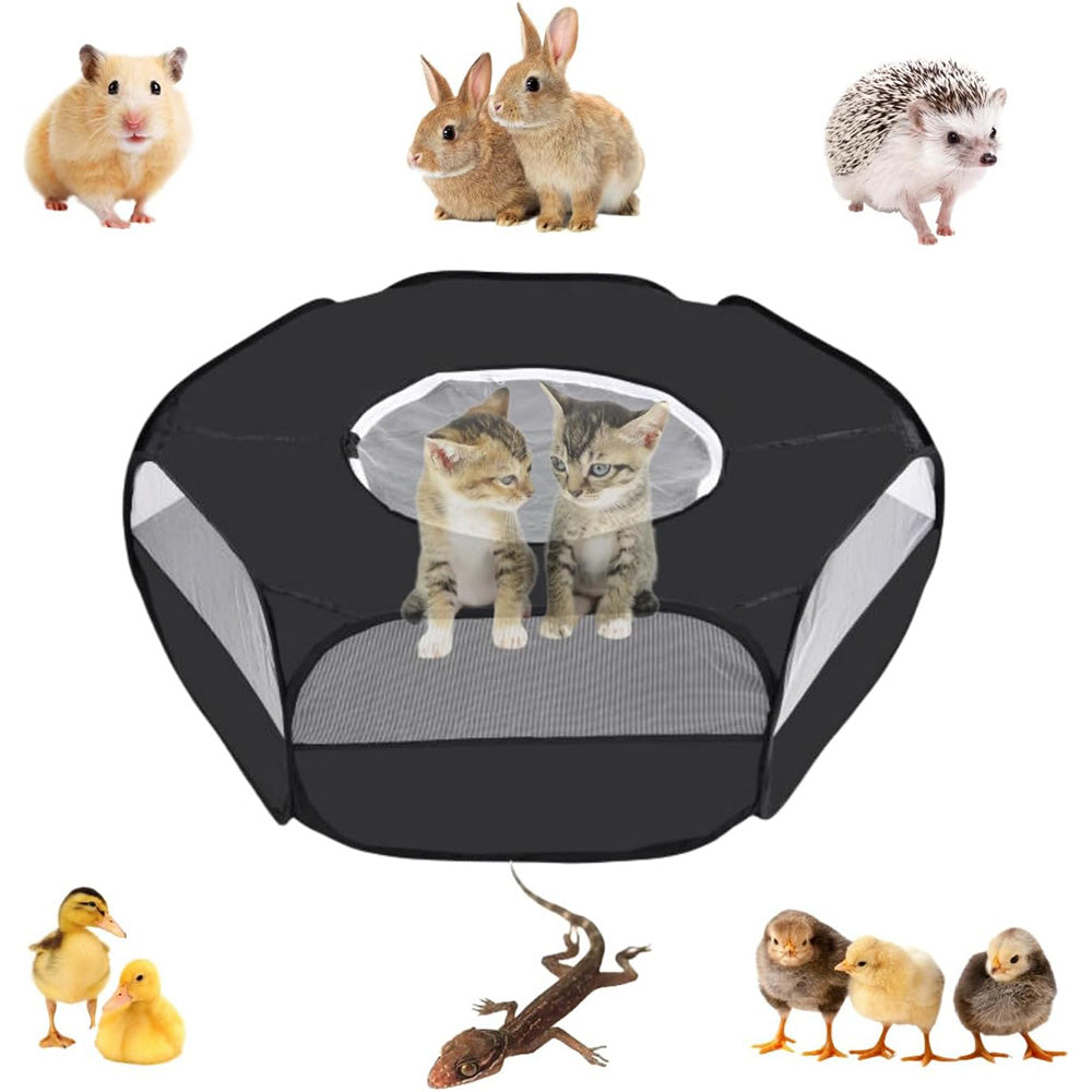 Portable Pop Up Small Animal Playpen with Clear Panels and Top Cover