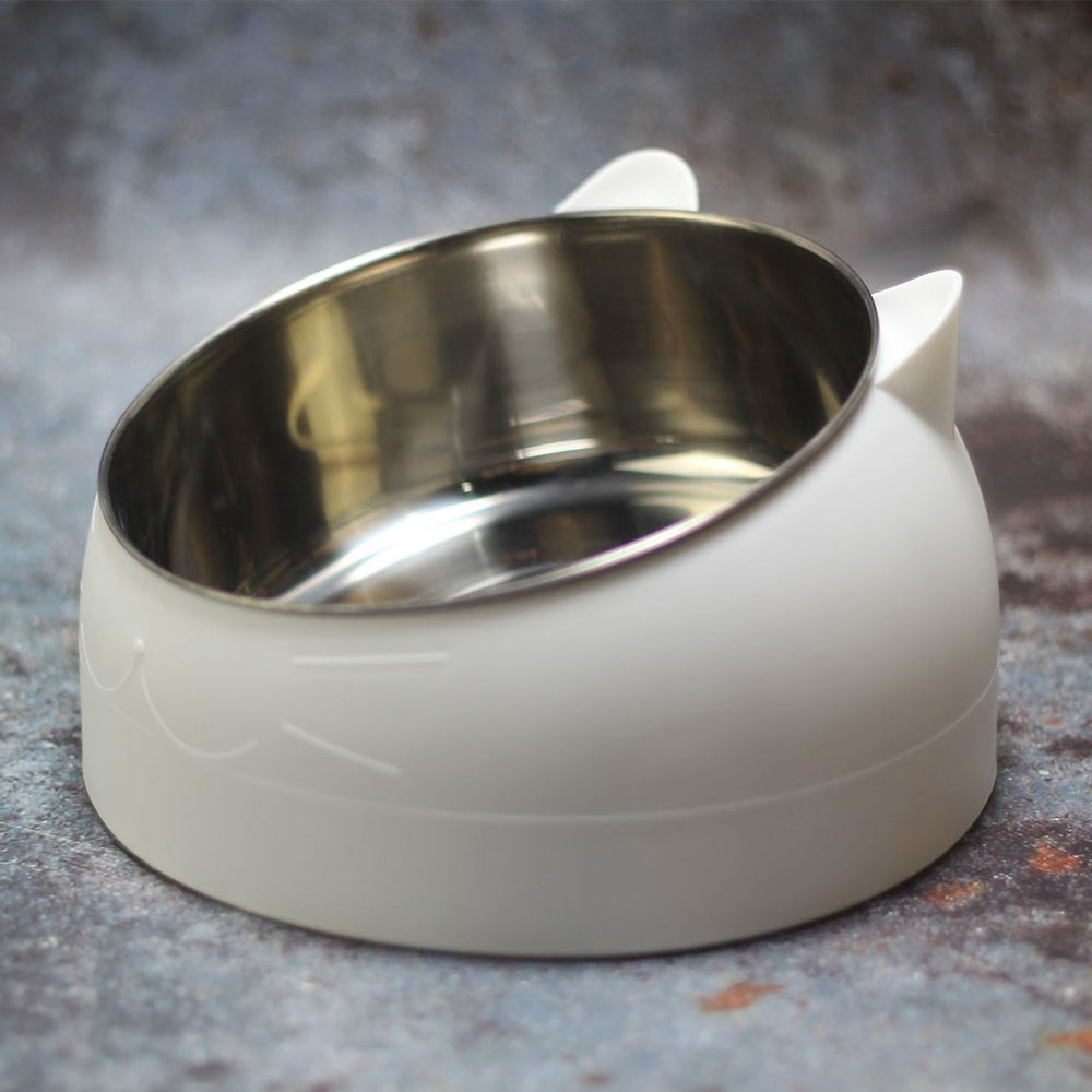 Slanted Stainless Steel Pet Feeder Bowl