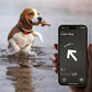 2Pcs For Apple AirTag Dog Collar Holder Water-resistant Holder Case