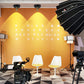 Wireless LED Spotlight 3000K 4000K 5000K Uplighting Indoor for Wall Art Display