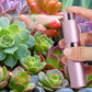 8ml Perfume or Cologne Travel Refillable Spray Bottle Portable Twist-Up Dispenser