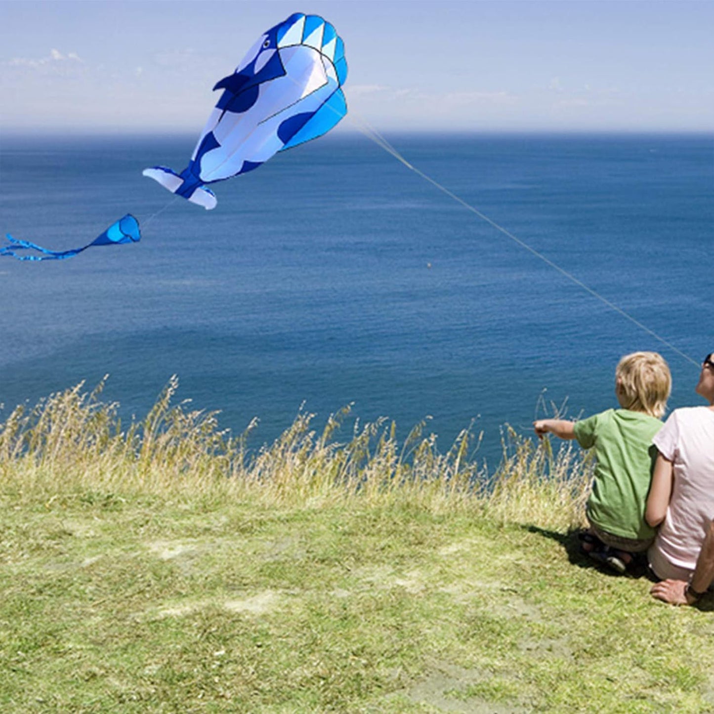 3D Soft Killer Whale Frameless Flying Kite Outdoor Sports Toy