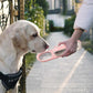 350ml Puppy Pet Foldable Water Bottle