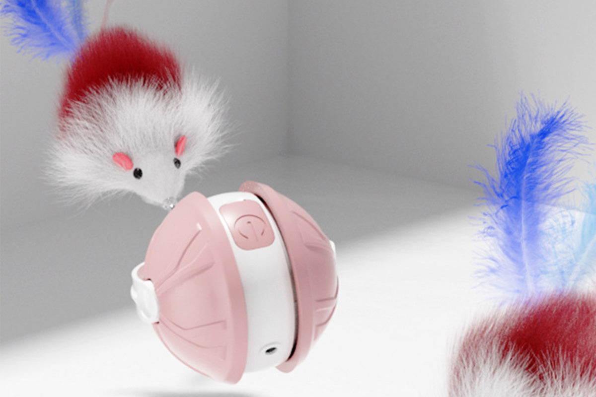 Interactive Dog Toys Electric Automatic Smart Pet Toys Rolling Ball Toys For Small Dogs