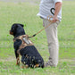 Tactical Dog Harness with Handle Reflective No Pull Military Working Vest