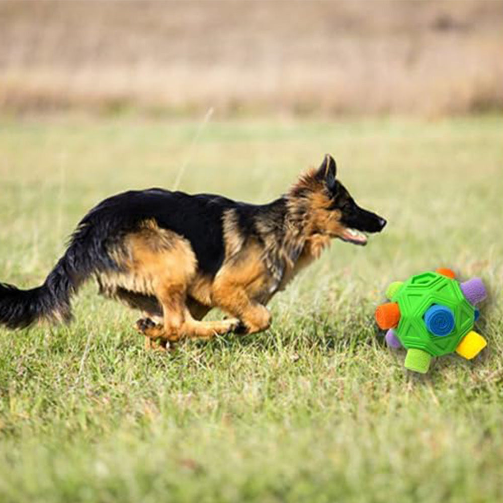 Dog Snuffle Ball Slow Feeder Puzzle Toy for Treats