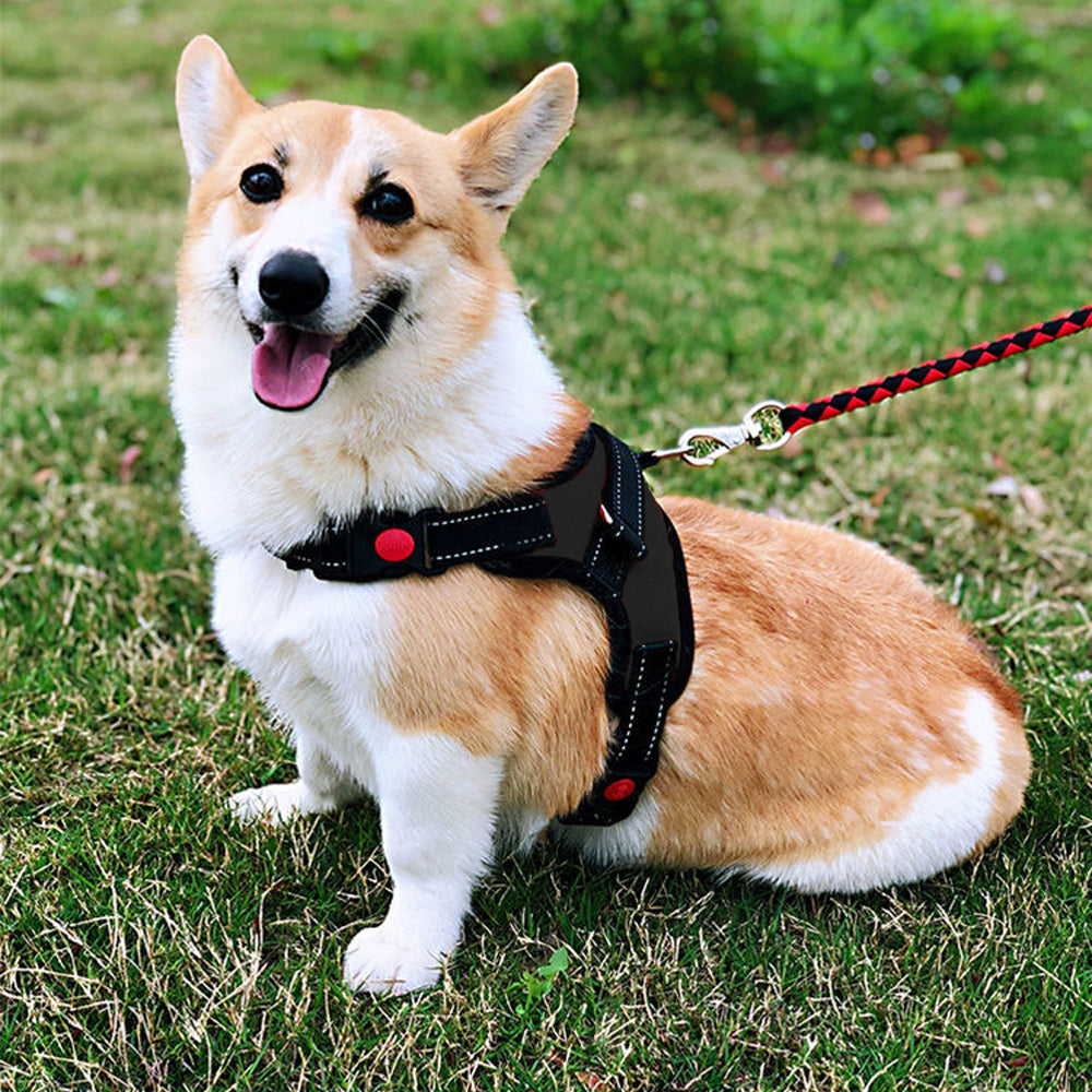 No-Pull Pet Dog Harness with Handle Adjustable Padded Vest