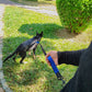 Hand Free Dog Leash With Zipper Pouch Dual Padded Handles Bungee for Jogging and Running Your pet