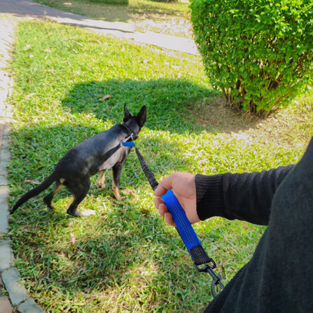 Hand Free Dog Leash With Zipper Pouch Dual Padded Handles Bungee for Jogging and Running Your pet