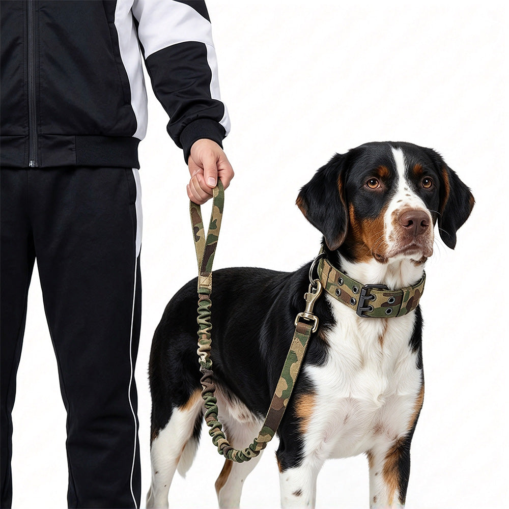 Adjustable Padded Nylon Dog Collar and Leash Set for Large Dogs-Green