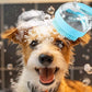 2 In 1 Dog Bath Brush With Built In Shampoo Dispenser Dog Shampoo Brush Bubble Maker