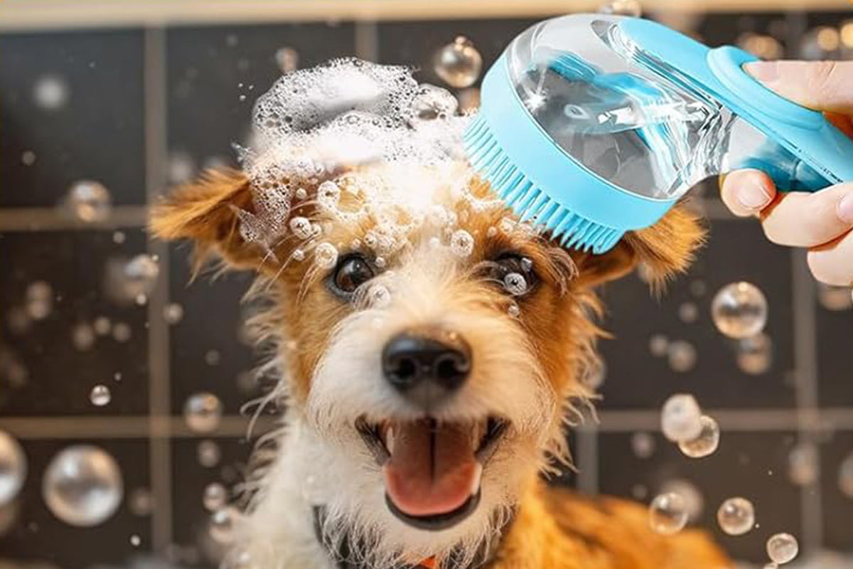 2 In 1 Dog Bath Brush With Built In Shampoo Dispenser Dog Shampoo Brush Bubble Maker