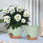3Pcs Round Self Watering Planters Pot with Drainage Hole and Tray