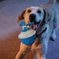 Interactive Dog Toys Touch Activated Bouncing And Jumping Dog Ball With Rope