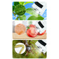 Portable Pocket Microscope Science Educational Toy with 12 Microscope Slides