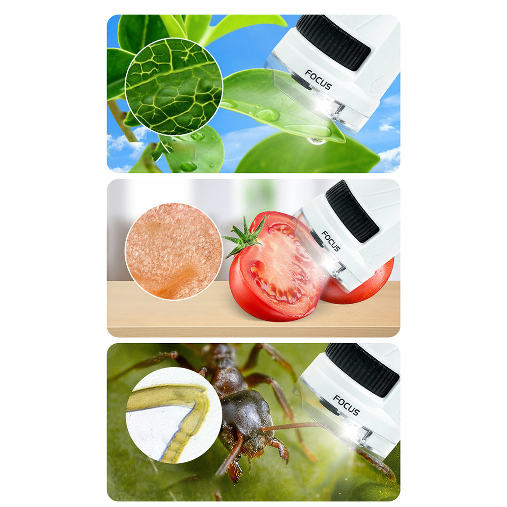 Portable Pocket Microscope Science Educational Toy with 12 Microscope Slides