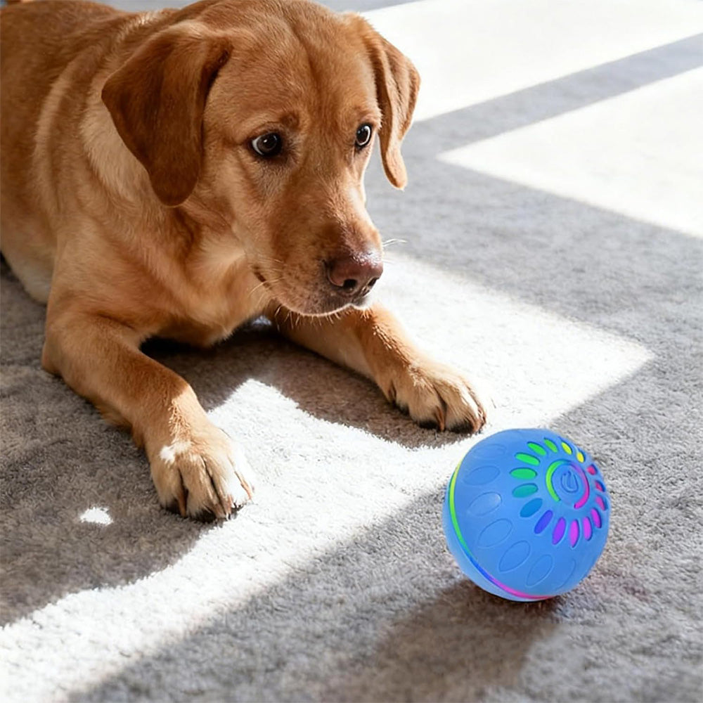 Interactive Dog Ball Toy Smart Moving Bouncing Dog Ball with LED Lights for Dogs Puppies
