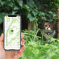Pet Cat Collar Adjustable Cat Collar with Tracker Holder for Airtag Tracker