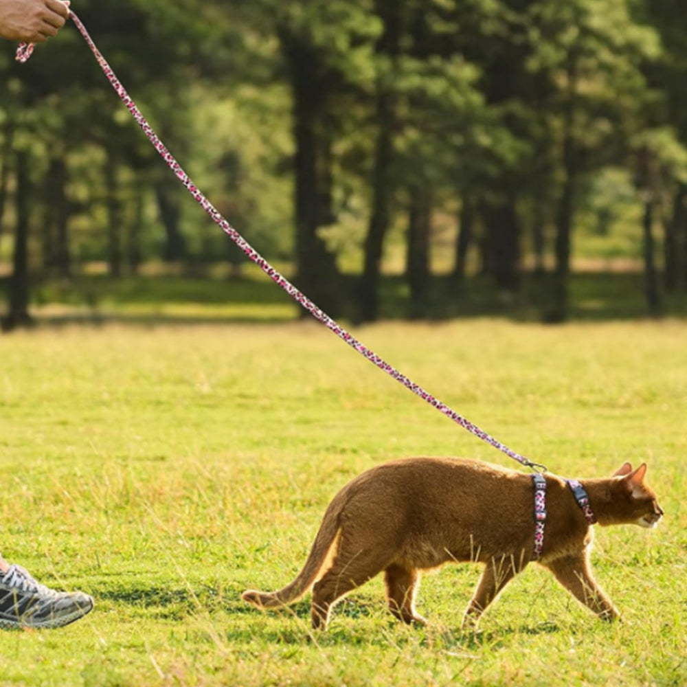 Cat Adjustable Harness and Leash Set