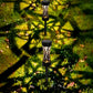 Solar Garden Lights with Warm White and Colorful Modes 4-Pack for Outdoor Lighting