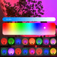 2Pcs Sunset Lamp Projector RGB Color Rotation LED Sunset Projection Lamp Room Decor
