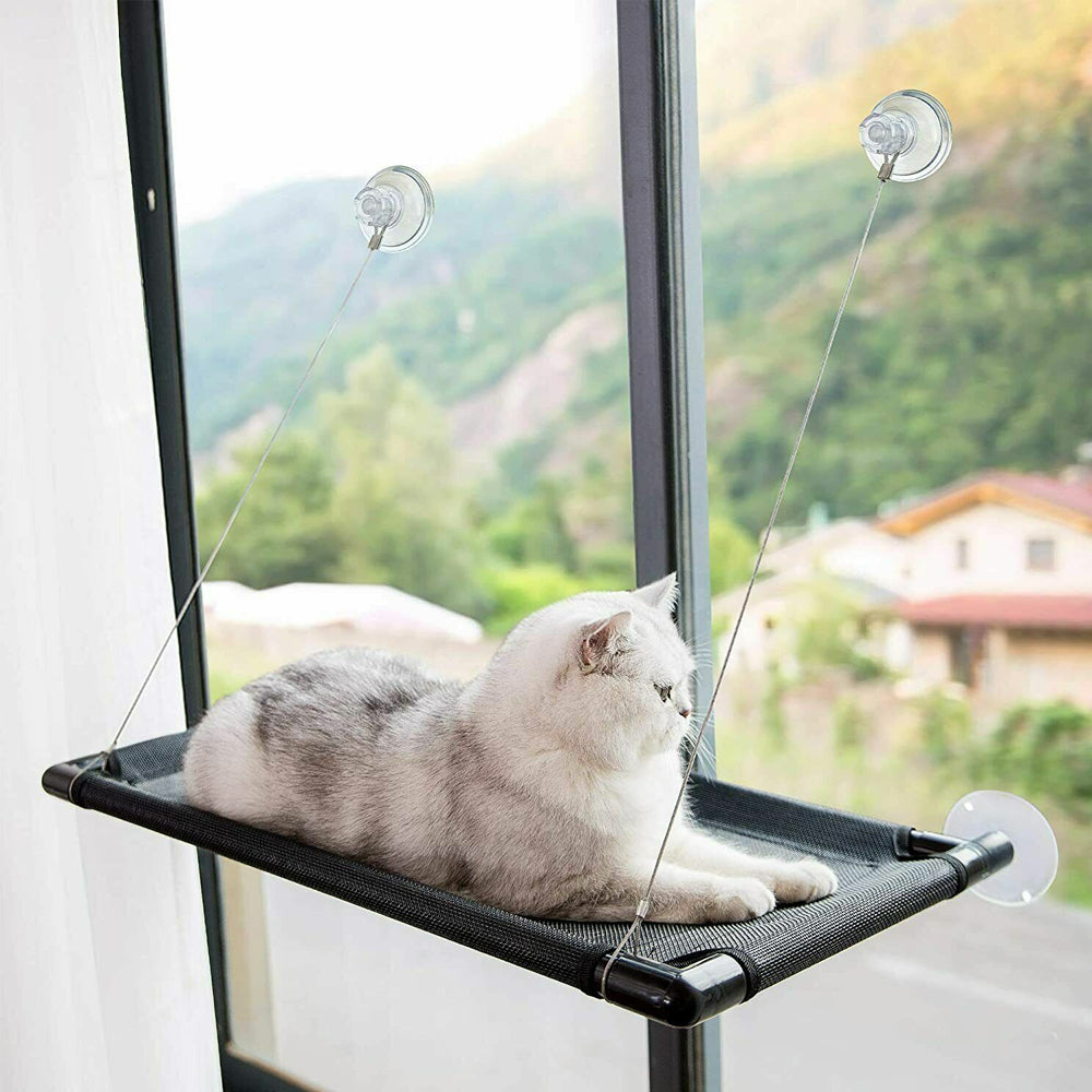 Cat Window Mounted Perch Hammock for Indoor Cats Resting