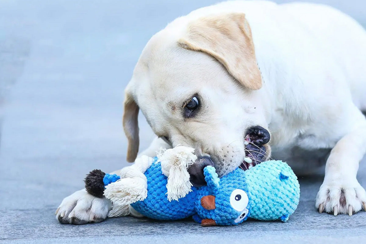 Dog Toys for Aggressive Chewers Dog Toys to Keep Them Busy Squeaky Dog Toys