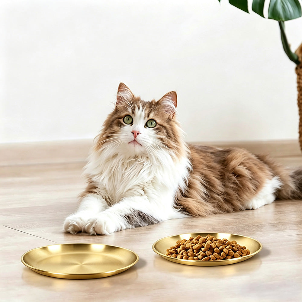 4Pcs Stainless Steel Pet Bowls Durable Shallow Pet Feeding Dishes for Cats Dogs-Gold