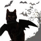 Pet Halloween Costume Bat Wings Black Bat Wings for Cat Dog Puppy
