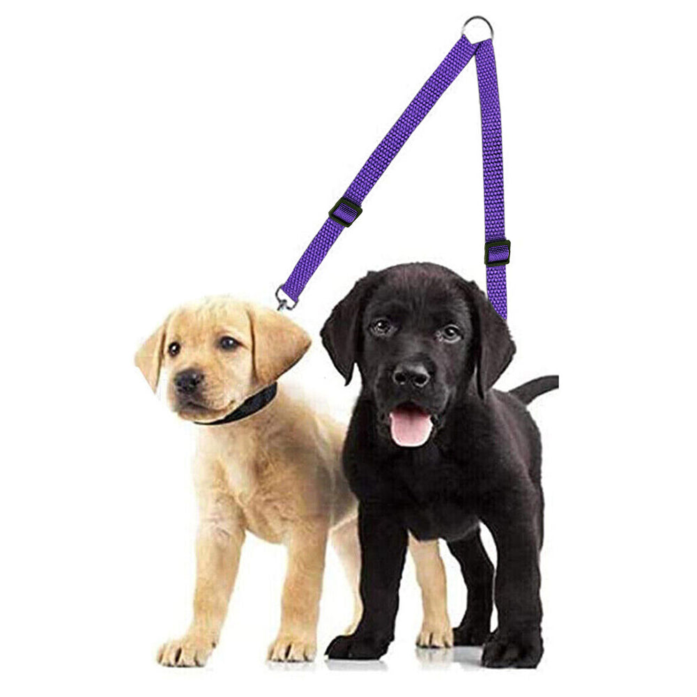 2Pcs Dual Dog Leash with One Lead Coupler Nylon Harness
