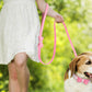 Dazzling Embellishments Dog Leashes and Collars with Bow Knot for Small Dogs Puppy