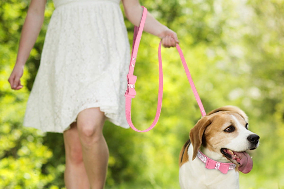 Dazzling Embellishments Dog Leashes and Collars with Bow Knot for Small Dogs Puppy