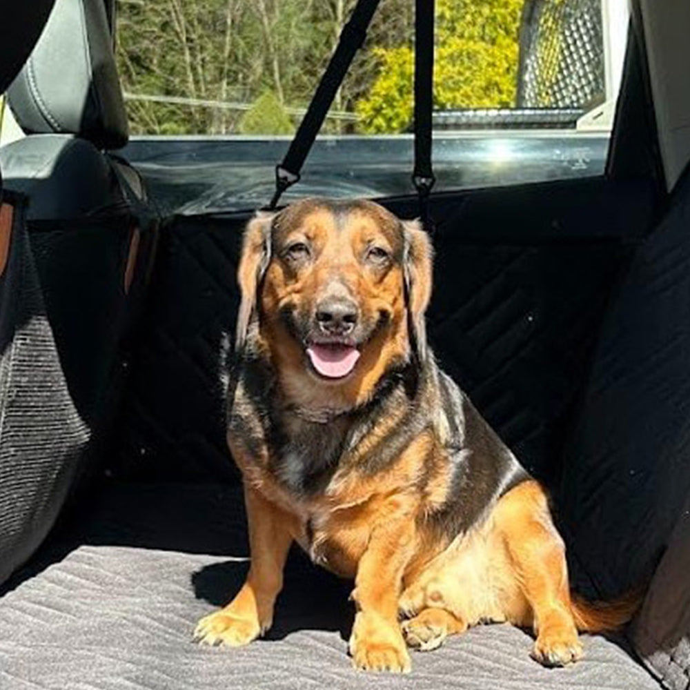132x158cm Water-Resistant Hard Bottom Back Vehicle Seat Extending Cover for Dogs