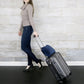 Travel Blanket And Pillow With Backpack Clip For Airplanes Essential Accessories