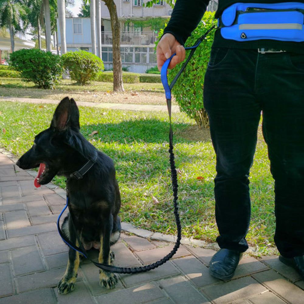 Hand Free Dog Leash With Zipper Pouch Dual Padded Handles Bungee for Jogging and Running Your pet