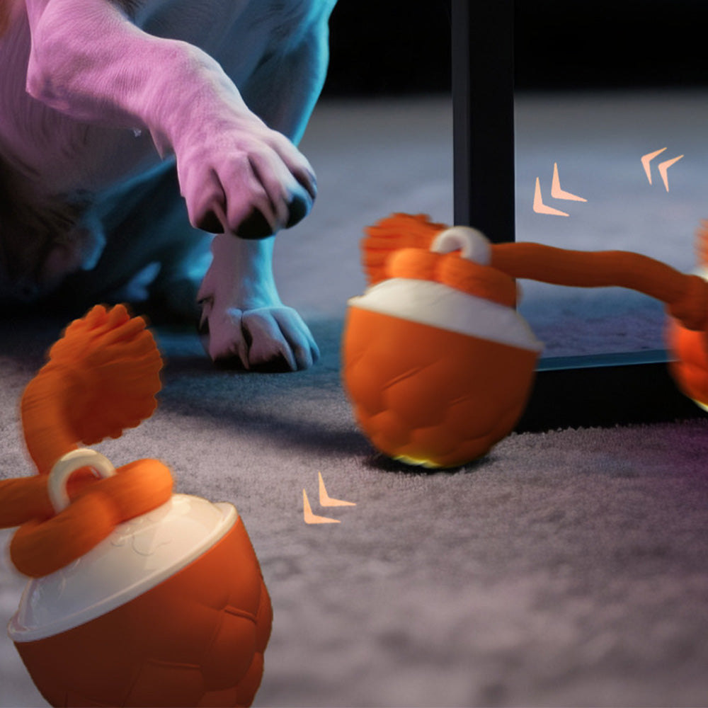 Interactive Dog Toys Touch Activated Bouncing And Jumping Dog Ball With Rope