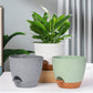 3Pcs Round Self Watering Planters Pot with Drainage Hole and Tray