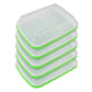 5 Pack Seed Sprouter Trays for Microgreens Soil-Free Growing with Drain Holes